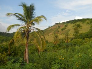 Article : Haïti chevauche un massif